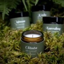 日本初上陸！北欧の森の香りを楽しむアロマキャンドル【全部試せる4種類セット】を「ソピバ北欧」で11/2から発売中