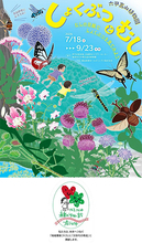 六甲高山植物園 × 伊丹市昆虫館夏イベント 「しょくぶつとむし」 開催決定！