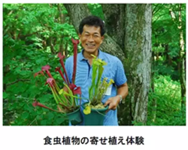 「六甲高山植物園 × 伊丹市昆虫館夏イベント 「しょくぶつとむし」 開催決定！」の画像