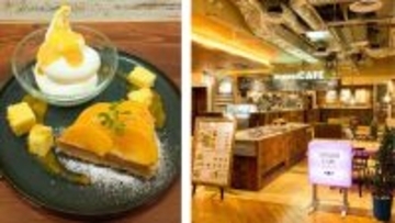 ～みのりカフェ福岡パルコ店 開業１１周年記念～ 感謝の気持ちを込めて特別メニューを４日間限定で提供！ １１月１３日（木）～１１月１６日（日）に実施