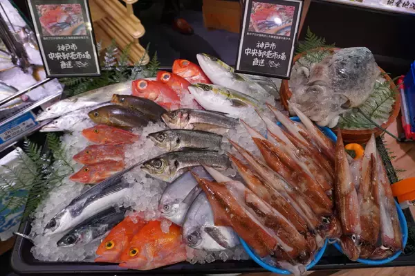 「2月26日（木）「ライフ本山店」を改装オープン！時短・簡便商品を充実させ、選ぶ楽しさと便利さをお届け！」の画像