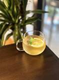 「猛暑の大阪で、涼と塩分を一杯に！北区のペット同伴カフェが「ソルティーレモンジュース」を無料配布」の画像1