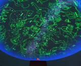 「12/7(日）「篠崎公園ふれあいフェスティバル」開催！今年もお相撲さんがやって来る！」の画像4