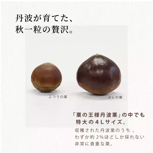 「特大丹波栗を丸ごと使用した贅沢スイーツ！「まるごと丹波栗入り蜜芋プリン」オンライン限定新発売」の画像