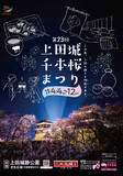 「春爛漫！約1,000本の桜が咲き誇る　第23回上田城千本桜まつり　4月4日(土)～12日(日)に開催！！」の画像2