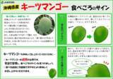 「沖縄県産「キーツマンゴー」をラジオ放送記念価格で販売！TFM「ＪＡタウンまるかじり」で潮紗理菜さんと茂木建生さんが商品の魅力を紹介」の画像4