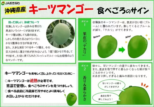 「沖縄県産「キーツマンゴー」をラジオ放送記念価格で販売！TFM「ＪＡタウンまるかじり」で潮紗理菜さんと茂木建生さんが商品の魅力を紹介」の画像