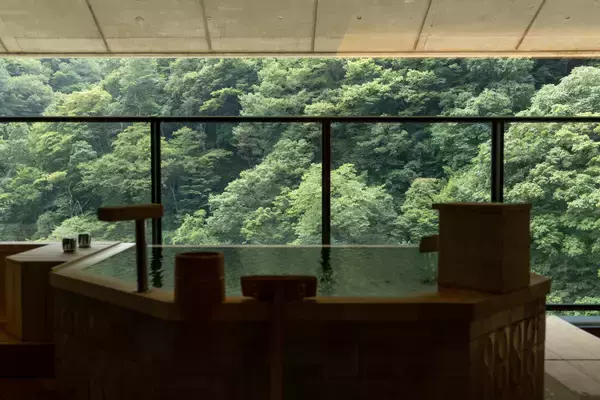 「エネルギー転換を実行し複数温泉宿で“重油ゼロ”を達成 ～省エネ大賞受賞後も、CO2削減をさらに前進～」の画像