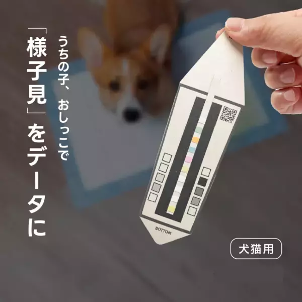 おうち1分のAIおしっこチェックで、体調の“ゆらぎ”を見える化
