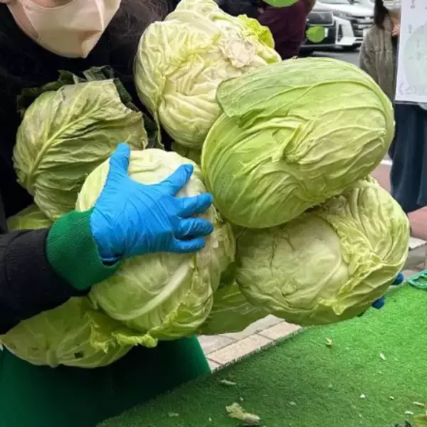 「【道の駅木更津うまくたの里】週末恒例の詰め放題、好評につき継続開催決定！農産物詰め放題がさらにグレードアップ、「甘夏」や「いちご」の果物が新登場！」の画像