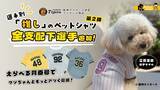 「阪神タイガース承認ライセンス、虎たろうSHOPの「推し」ペットシャツが5/26より全支配下選手88名に対応」の画像1