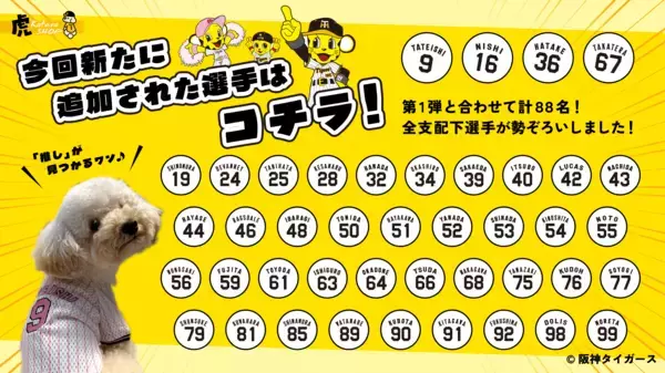 「阪神タイガース承認ライセンス、虎たろうSHOPの「推し」ペットシャツが5/26より全支配下選手88名に対応」の画像