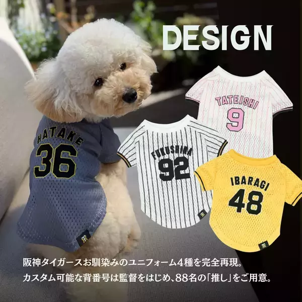 「阪神タイガース承認ライセンス、虎たろうSHOPの「推し」ペットシャツが5/26より全支配下選手88名に対応」の画像