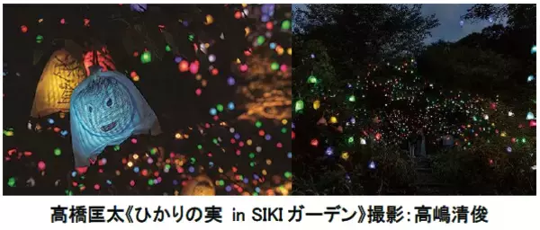 「六甲高山植物園 市街地より一足早い秋の訪れ紅葉見頃 10月下旬～11月下旬「ひかりの森～夜の芸術散歩～」開催！」の画像