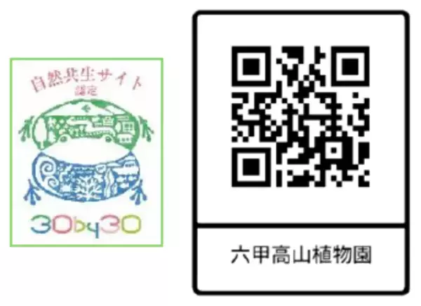 「六甲高山植物園 市街地より一足早い秋の訪れ紅葉見頃 10月下旬～11月下旬「ひかりの森～夜の芸術散歩～」開催！」の画像