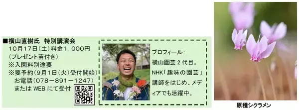 「六甲高山植物園 市街地より一足早い秋の訪れ紅葉見頃 10月下旬～11月下旬「ひかりの森～夜の芸術散歩～」開催！」の画像