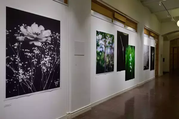「日本・スウェーデン写真学生による国際共同プロジェクト2026―スウェーデンで学ぶ新たな写真表現―」の画像