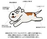 「当社オリジナルキャラクター『サムティくん』の動くLINEスタンプを、1月13日(火)より無料配信いたします！」の画像2