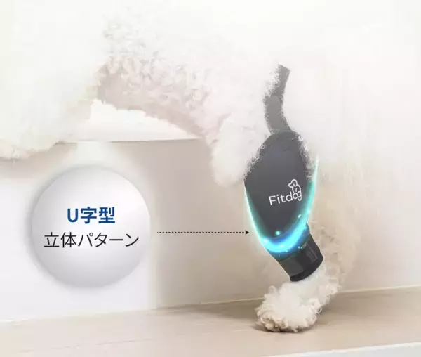 「韓国発・犬体工学サポーター『Fitdog(フィットドッグ)』　楽天市場進出に続き、日本の有力バイヤーから問い合わせが相次ぐ！B2B市場への本格参入を開始」の画像