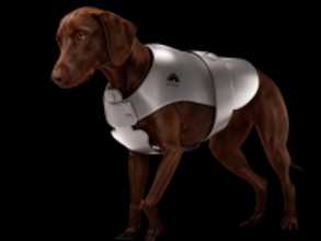 【業界初※】ペット用冷却ベストが新発売！※PCM素材搭載「ペット（犬）用アイスベスト」2026年5月下旬発売
