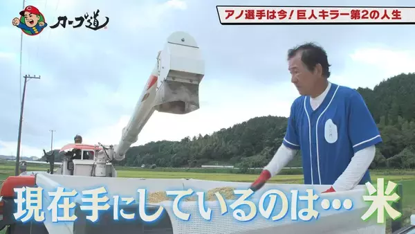 「広島ホームテレビ 【カープ道】アノ選手は今！～第2の人生は田んぼ～　10月7日(火)深夜放送」の画像