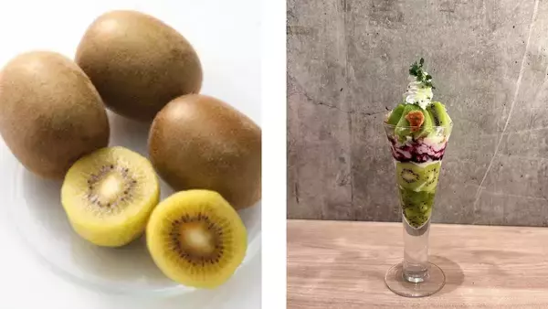 口いっぱいに広がる甘味と果汁！ 全農直営飲食店舗で福岡県産ブランドキウイフルーツ「博多甘熟娘(はかたうれっこ)」フェア を１２月１９日（金）～１月８日（木）に開催