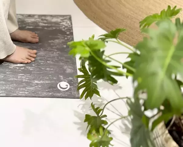 「ウェルネスは、体験からインフラへ　ヨガワークスが新たに提案する「サダナ・ウェルネス」リニューアル発売」の画像