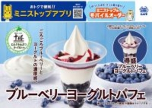 ごろごろブルーベリーとヨーグルトの濃厚感。　「ブルーベリーヨーグルトパフェ」
