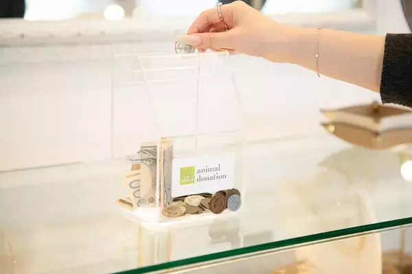 「ジュエリー購入で参加する猫の日チャリティー　「オレフィーチェ」が当日売上の5％を動物福祉団体へ寄付」の画像