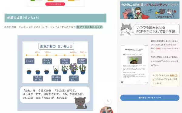 夏休みの宿題を「自分でできた！」に。無料学習サイト『ゆみねこの教科書』が観察日記・読書感想文・歴史新聞などを無料公開