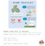 「夏休みの宿題を「自分でできた！」に。無料学習サイト『ゆみねこの教科書』が観察日記・読書感想文・歴史新聞などを無料公開」の画像2