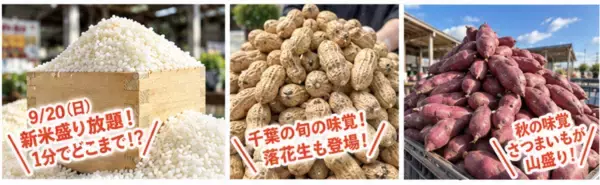 新米150kgを大放出！1分間でどこまで盛れる？過去最高記録は1.2kg！道の駅木更津うまくたの里「秋の大収穫祭」を9/19(土)～23(水・祝)の5日間開催！