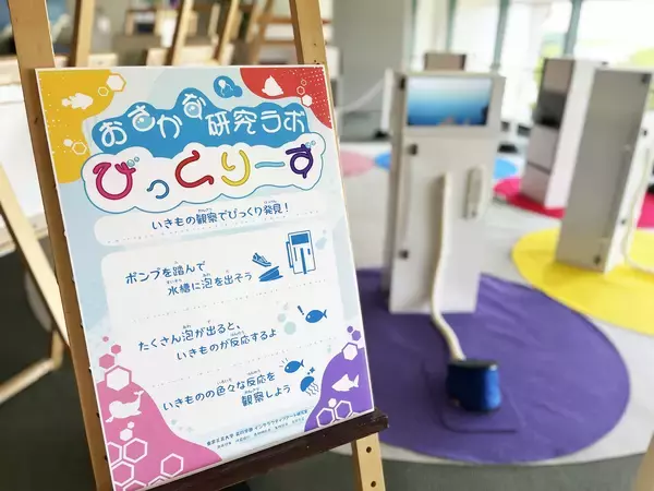 「東京工芸大学 芸術学部学生のインタラクティブ作品が島根県立しまね海洋館アクアスの企画展で展示　― 2026年7月4日(土)から9月27日(日) ―」の画像