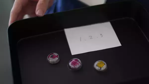 「東京工芸大学 芸術学部学生のインタラクティブ作品が島根県立しまね海洋館アクアスの企画展で展示　― 2026年7月4日(土)から9月27日(日) ―」の画像