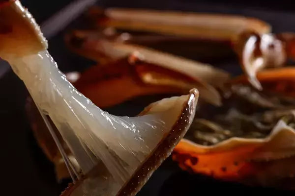 「3月31日、蟹旅の締めくくりに。うまい料理と、静かな夜を。｜海の京都・夕日ヶ浦温泉「一望館 はなれ櫂」」の画像