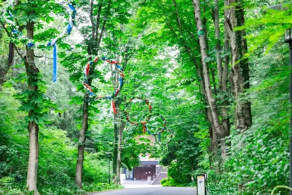 「２０２６年５月２３日(土)～８月３１日(月)～花冠とともに祝う、飯能の夏～はんのう夏至祭 を初開催します！」の画像