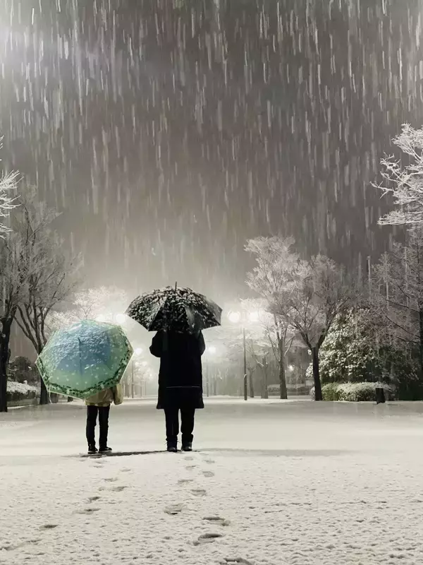 「【受賞作品決定！】TSS開局50周年特別企画『広島まるごと ずきゅん。写真展』」の画像