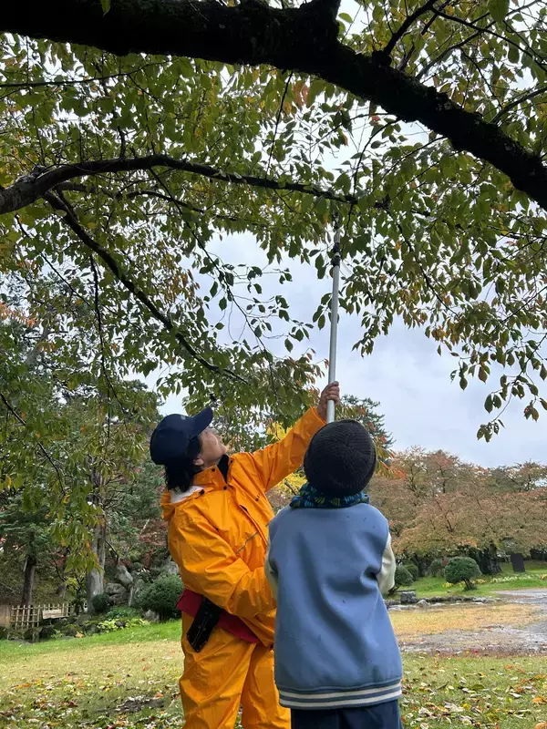「弘前市、ふるさと納税で「弘前公園さくらオーナー」を募集」の画像