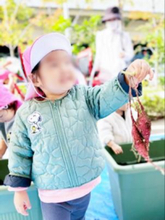 収穫祭！小さい秋みーつけた　医療複合施設 i-Mall 「緑の回廊プロジェクト」