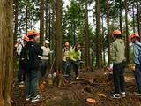 「【森と人をつなぐ】神奈川県の水源地域で森や木、林業に触れる体験を！企業・学校向けの森林体験や保育園・幼稚園向けの出張木育広場を通して、森のまなびや木の温もりをお届けします」の画像2