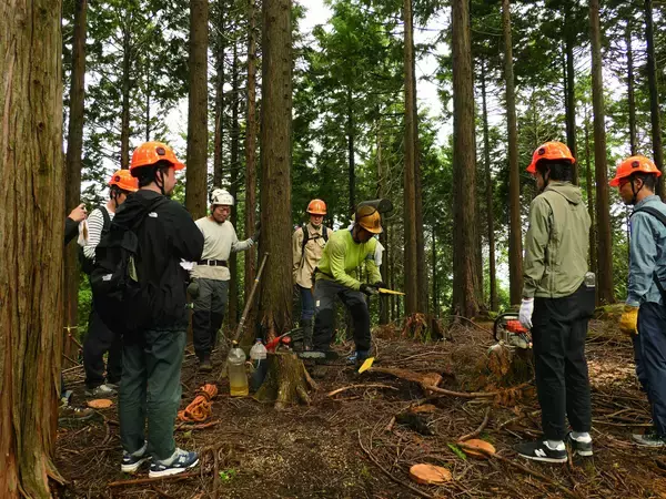 「【森と人をつなぐ】神奈川県の水源地域で森や木、林業に触れる体験を！企業・学校向けの森林体験や保育園・幼稚園向けの出張木育広場を通して、森のまなびや木の温もりをお届けします」の画像
