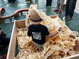 「【森と人をつなぐ】神奈川県の水源地域で森や木、林業に触れる体験を！企業・学校向けの森林体験や保育園・幼稚園向けの出張木育広場を通して、森のまなびや木の温もりをお届けします」の画像3