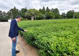 「高雄市政府農業局が来日、農村観光をPR」の画像3