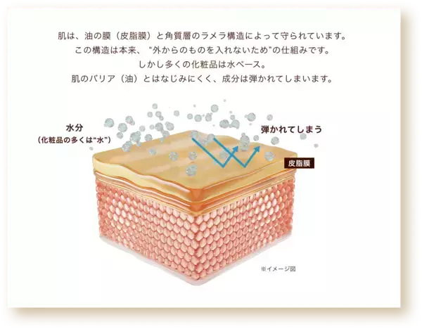 「世界初、キャビアの王様「ベルーガ」由来成分をナノ化して配合　次世代スキンケアブランド『Vianne(ヴィアンヌ)』発売」の画像