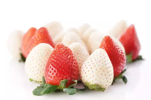 「いちご屋水信」へようこそ！ 水信ストロベリーフェスティバルを開催中