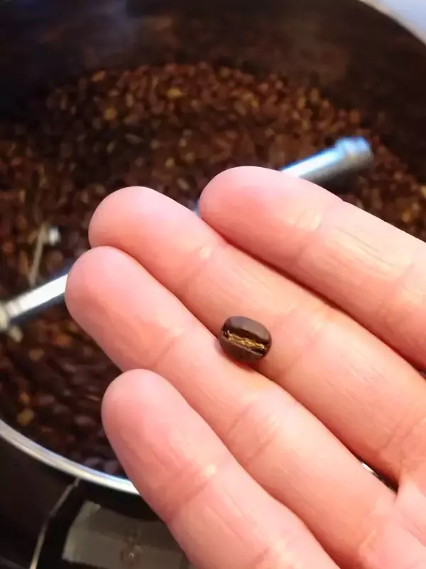 「TOSACO×UKIKI COFFEEが初コラボ！高知に移住起業した2社による、期間限定「UKIKIコーヒーポーター」新登場！」の画像