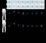 「抗ウイルス・抗菌・抗老化作用をもつ『VB』に新たな可能性　美白効果およびマクロファージ活性への関与を確認」の画像1