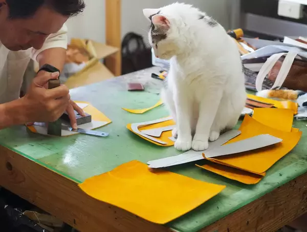 「創業70年の革工房が“次の一手”へ ― 保護猫との出会いから広がる新ブランド「bri&gra（ブリ＆グラ）」、大阪・平野区から新たな価値創出へ」の画像