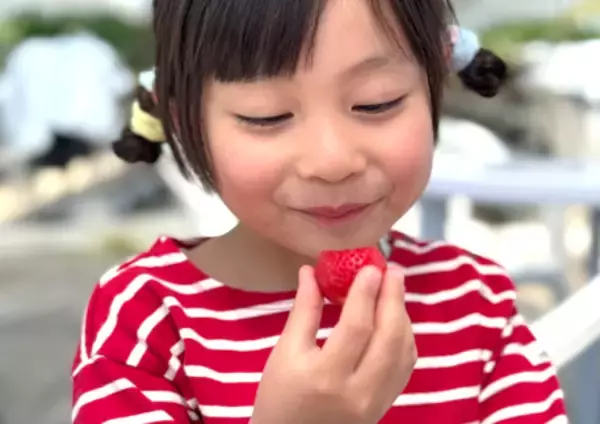 「京阪百貨店が農林水産省「第10回食育活動表彰」において、企業部門の最高位「農林水産大臣賞」を受賞！」の画像