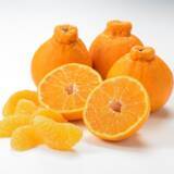 「JA全農とJR西日本の地域振興プロジェクト JR大阪駅で「みのりみのるマルシェ　熊本の実り」を1月31日に開催」の画像3